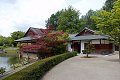 Japanse tuin tuinen japanese garden jardin japonais hasselt landgoed Clingendael Itami shinto koi koikarper blossom bloesem floraison zen
